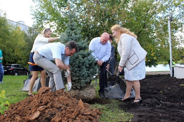 Администрация Чертаново сажает растения